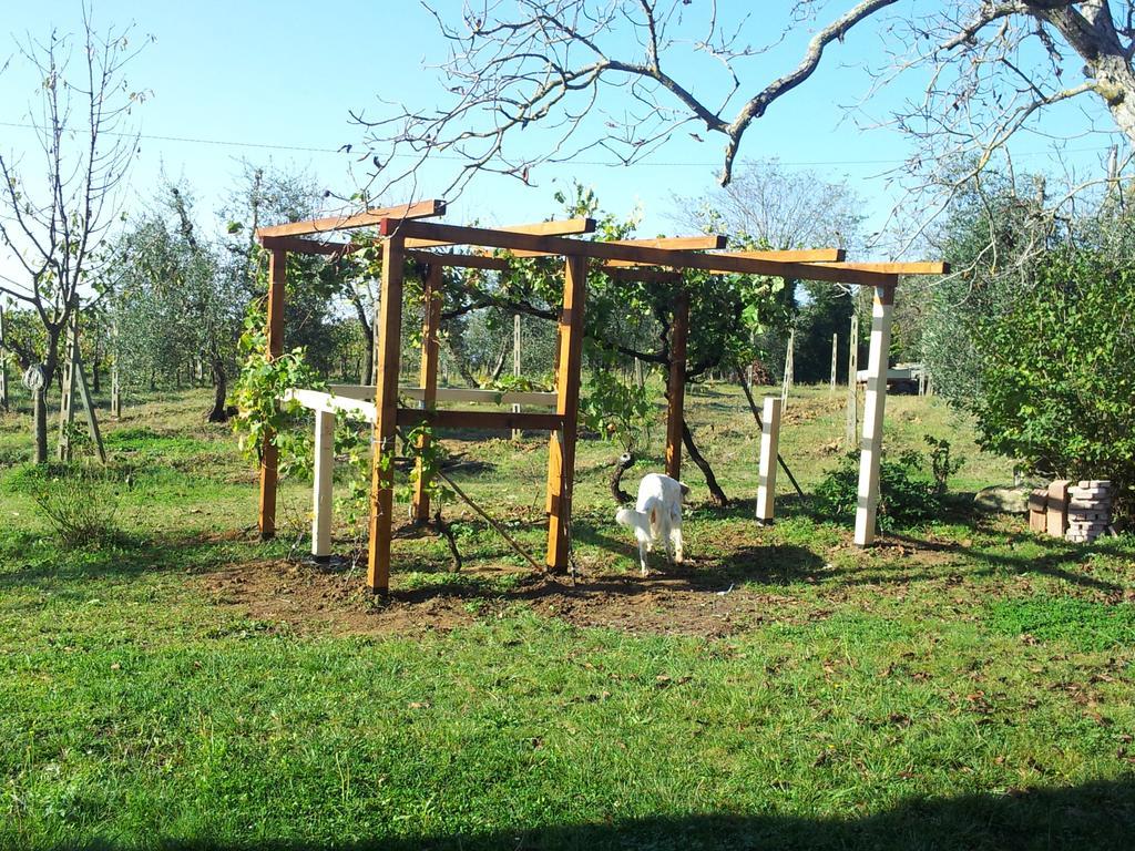 Villa Podere San Quirico à Castelnuovo Berardenga Extérieur photo