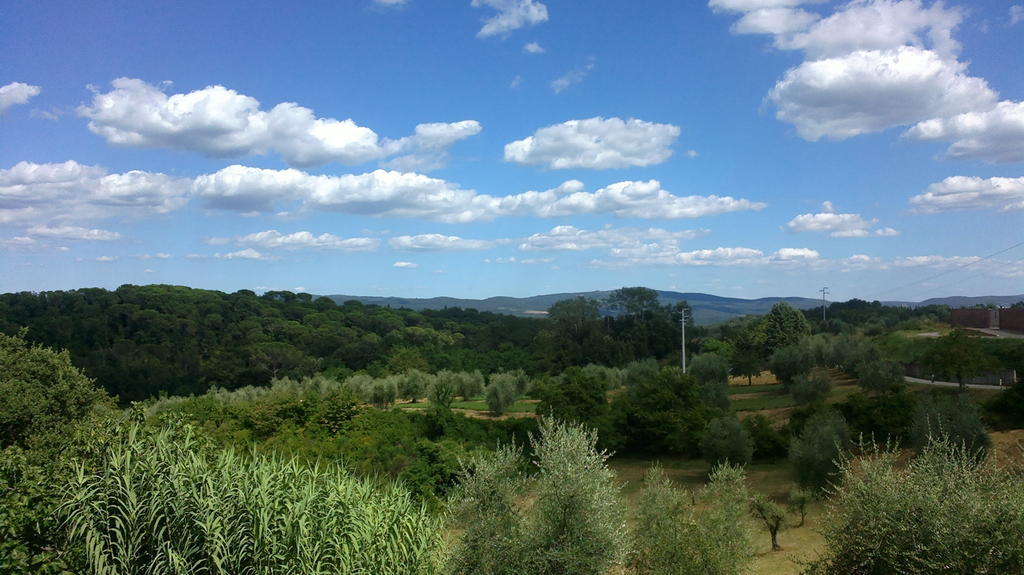 Villa Podere San Quirico à Castelnuovo Berardenga Extérieur photo