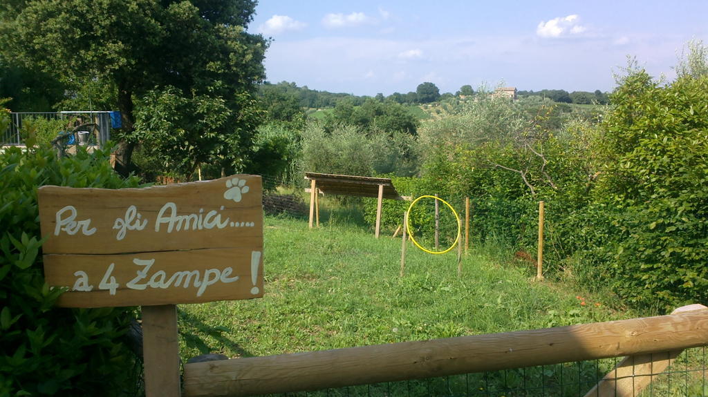 Villa Podere San Quirico à Castelnuovo Berardenga Extérieur photo