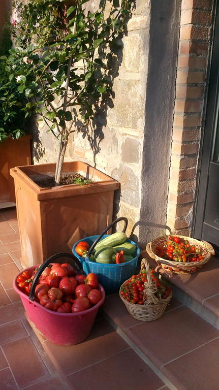 Villa Podere San Quirico à Castelnuovo Berardenga Extérieur photo